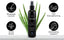 Leave-In Hair Strengthener